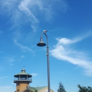 Meet your Posher, Johanni